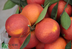 血橙多少錢一斤？四川血橙多少錢一斤？