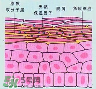 敷面膜真的有效嗎？敷面膜真的有用嗎？