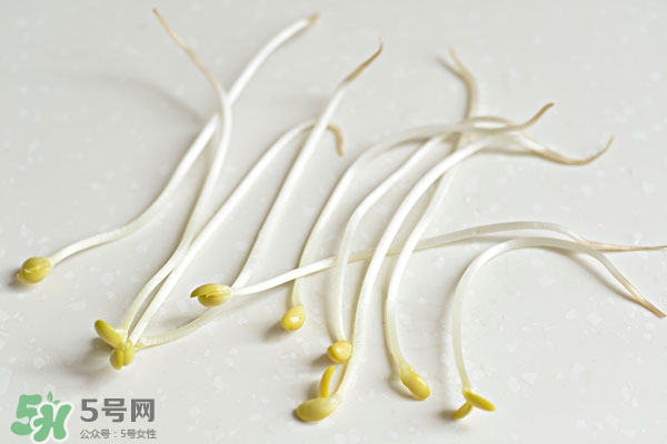 黃豆芽能做餡料嗎？黃豆芽餡包子怎么做？