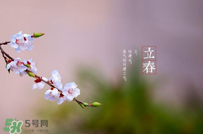 立春后種什么花？立春時開的花有哪些？