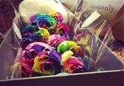 roseonly鮮花多少錢？roseonly永生花多少錢？