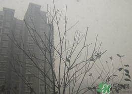 霧霾天開空調(diào)會不會污染室內(nèi)空氣？
