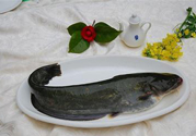 清江魚熱量高嗎？吃清江魚會胖嗎？