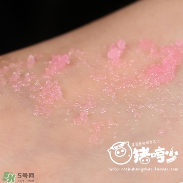 lush唇部磨砂膏保質期是多久？lush唇部磨砂膏過期可以用嗎？