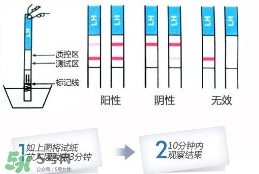 早孕試紙什么時(shí)候測(cè)最準(zhǔn)？早孕試紙什么時(shí)候可以測(cè)出來(lái)