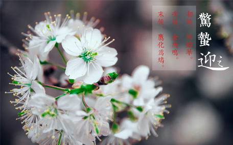 驚蟄的蟄是什么意思 驚蟄的含義和風俗
