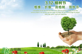 植樹節(jié)為什么要種樹？植樹節(jié)種樹的意義