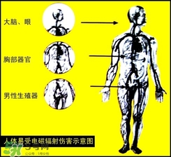 防輻射服什么時候開始穿？防輻射服真的有用嗎？