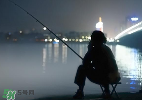 春分能夜釣嗎？春分能釣鯉魚嗎？