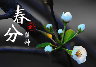 春分吃春菜有什么好處？春菜有什么營養價值？