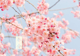 春分吃什么？春分吃什么會更加健康？