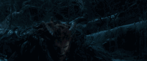 野獸派美女與野獸水晶球多少錢？野獸派音樂水晶球價格