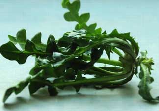 乙肝能吃薺菜嗎？乙肝病人可以吃薺菜嗎？