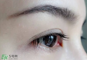 serge lutens蘆丹氏睫毛膏怎么樣？蘆丹氏睫毛膏好不好用？
