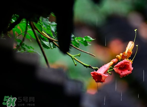 2017年梅雨季節(jié)是幾月？2017年梅雨季節(jié)是什么時候？