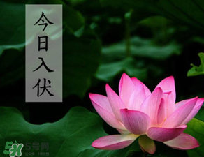 2017年頭伏是哪一天？2017年什么時(shí)候入伏？