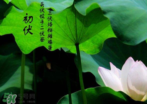 2017年頭伏是哪一天？2017年什么時(shí)候入伏？
