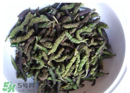 蒸構(gòu)樹花兒孕婦可以吃嗎？孕婦可以吃蒸構(gòu)樹花兒嗎？