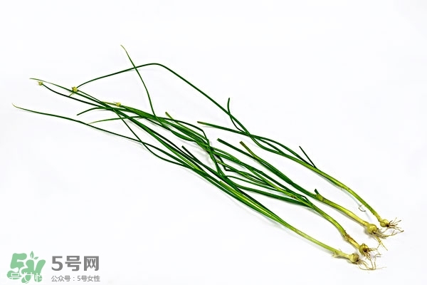 野生小根蒜的功效與作用 小根蒜有什么營養價值