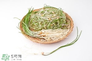 野生小根蒜的功效與作用 小根蒜有什么營養價值