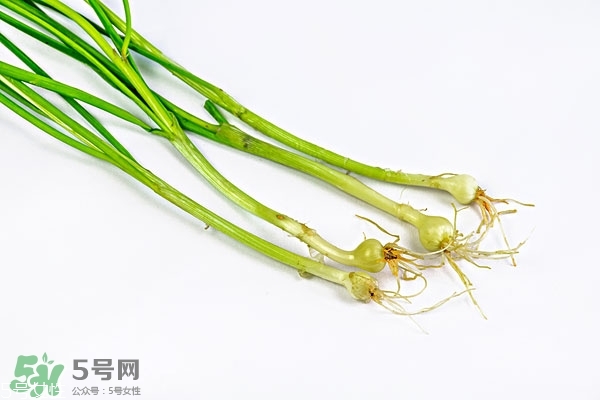 野生小根蒜的功效與作用 小根蒜有什么營養價值