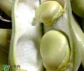 蠶豆多少錢一斤？蠶豆多少錢一斤2017？