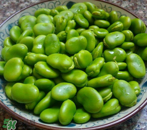 蠶豆多少錢一斤？蠶豆多少錢一斤2017？
