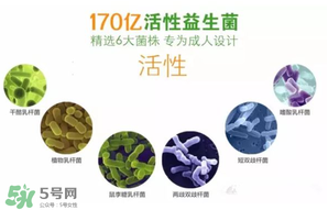 益生菌哪個牌子好？哪個牌子的益生菌好？