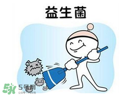 益生菌哪個牌子好？哪個牌子的益生菌好？