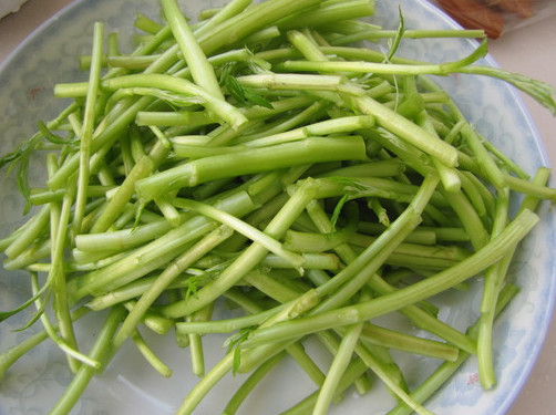 蘆蒿是發物嗎？蘆蒿是不是發物