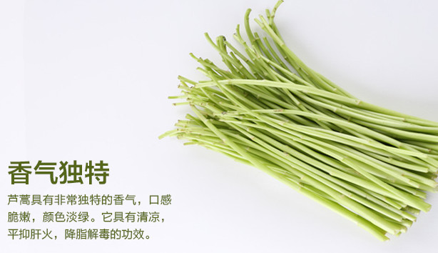 蘆蒿是發物嗎？蘆蒿是不是發物