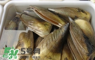 青口貝如何清洗？青口貝怎么處理