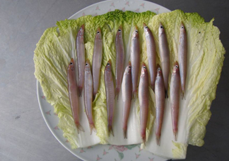 青島面條魚是什么魚？青島面條魚叫什么