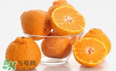 丑八怪水果多少錢一斤？不知火雜柑一斤多少錢