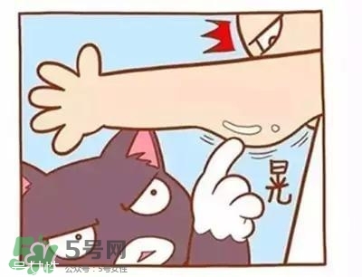 天鵝臂是什么？天鵝臂有用嗎
