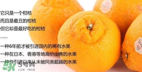 丑八怪水果多少錢一斤？不知火雜柑一斤多少錢