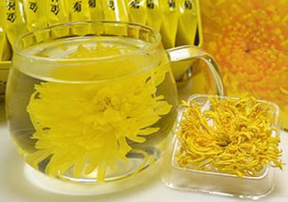 立夏喝菊花好嗎？立夏能吃苦菊嗎？