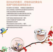 雪花秀2017喜鵲限量氣墊多少錢？雪花秀喜鵲登枝氣墊專柜價格