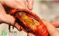 周黑鴨小龍蝦怎么吃？周黑鴨小龍蝦怎么吃圖解？