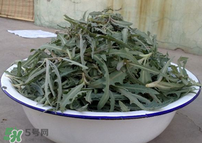 苦苦菜怎么腌制？怎樣腌制苦苦菜？