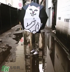 ripndip是什么牌子？ripndip是什么檔次？