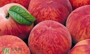 桃子和西瓜一起吃會中毒嗎？桃子和西瓜能一起吃嗎？