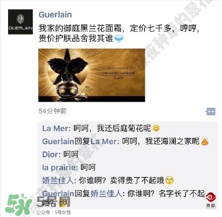 嬌蘭和嬌蘭佳人一樣嗎？嬌蘭和嬌蘭佳人什么聯系？