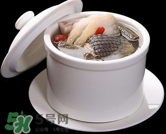 干鱷魚肉怎么吃？鱷魚肉怎么吃治咳嗽？