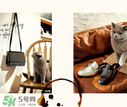 belle是什么牌子？百麗是哪個國家的品牌？
