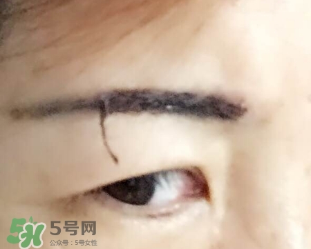 眉膠和眉粉哪個好用？眉膠和沒分的區別
