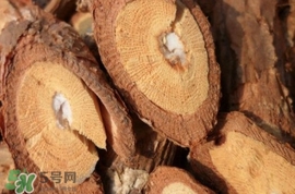 山葡萄根一斤多少錢？山葡萄根功效與作用