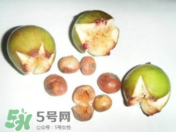 野地瓜滕熬水吃能治療什么??？野地瓜怎么吃