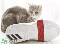 adidas dame3上腳怎么樣？阿迪達(dá)斯利拉德三代測(cè)評(píng)