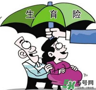 生育保險能報多少錢？生育保險報銷條件、流程